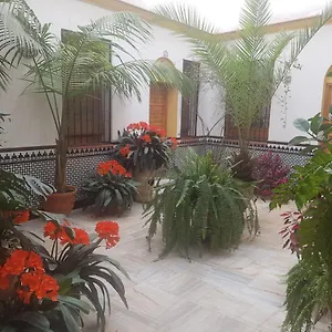 Casa Típica Cordobesa Apartamento Córdova